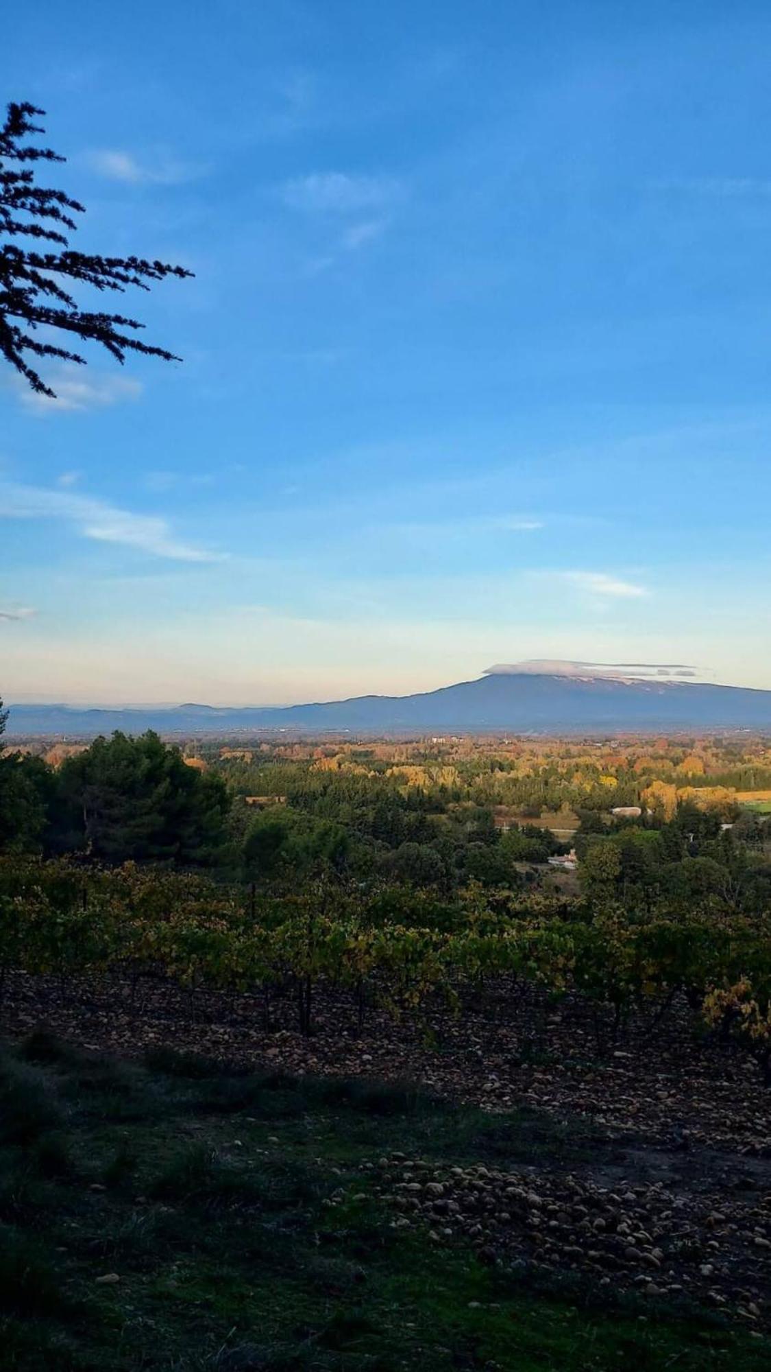 L'Appartement De L'Arche Chateauneuf-de-Gadagne Bagian luar foto